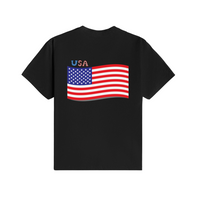 USA Eagle Flag Art T-Shirt