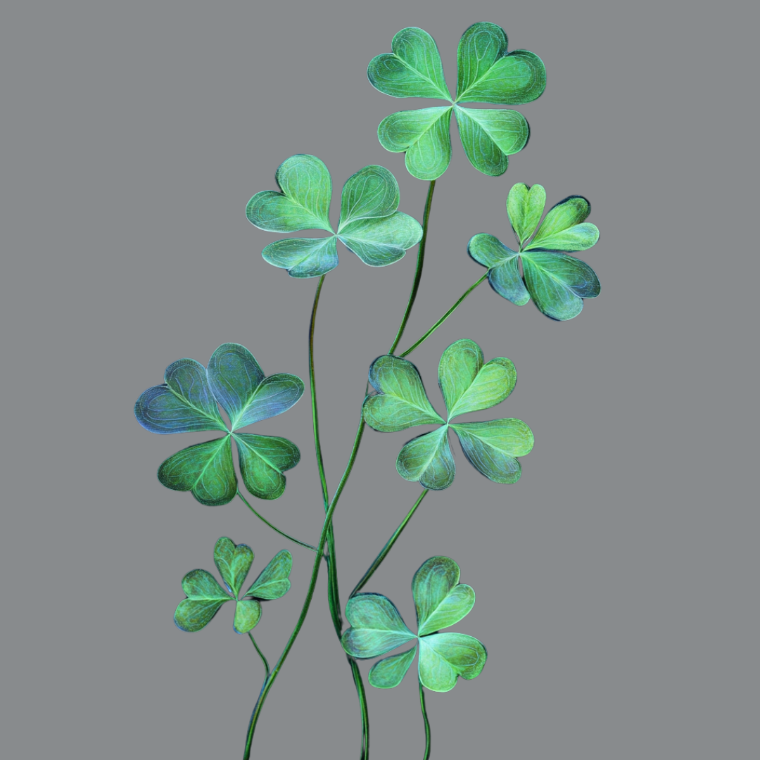 Clover Dreamscape