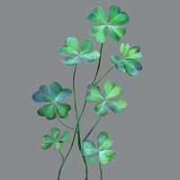 Clover Dreamscape