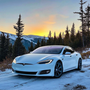 Tesla Model-Snow Drift Phone Case