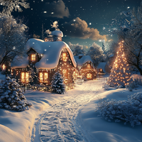 Winter Wonderland-Enchanted Lights Phone Case